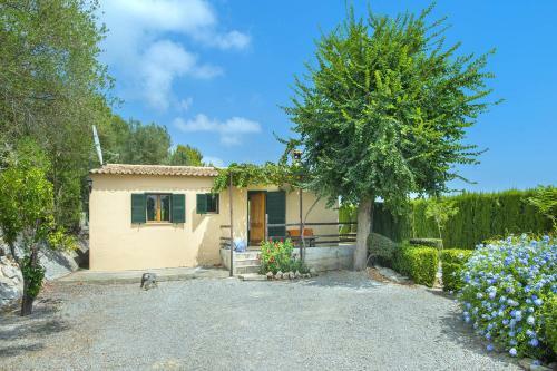 Villa Olivo By Villa Plus