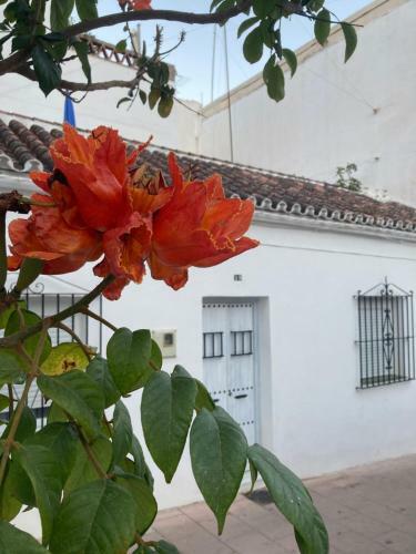 Apartaunmomento Y Desconecta!