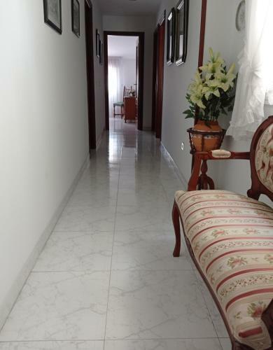 Apartamento Estudio Coqueto Y C�ntrico