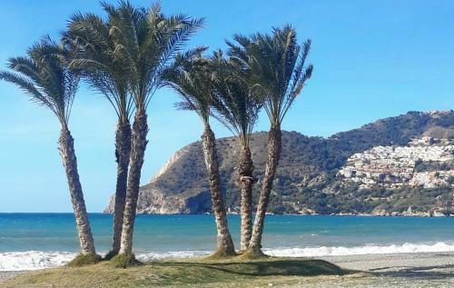 Apartamento On The Bay