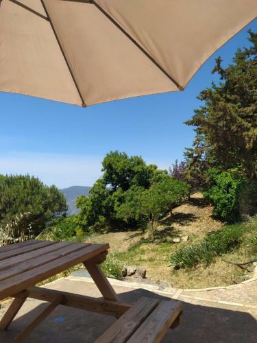 Bed & Breakfast Cortijo La Chaparra