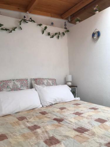 Apartamento Coquet Mini Estudio