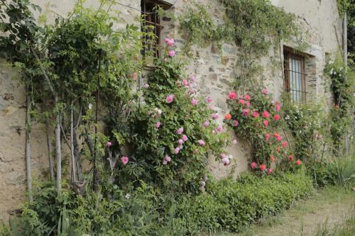 Agroturismo Casa Tapiolas Rector�a
