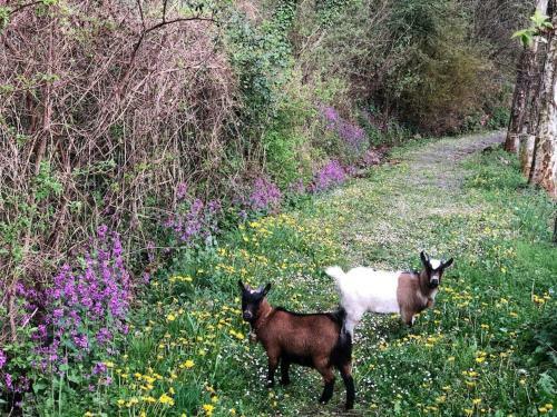 Can Mercader Ii, Casa Rural Exclusiva Con Encanto