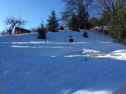 Hostal Brauereigasthof Ankerbr�u
