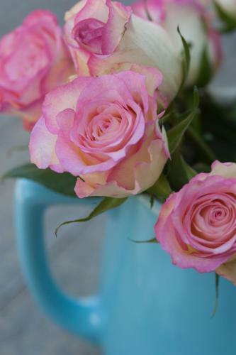 Bed & Breakfast Domaine Des Agnelles