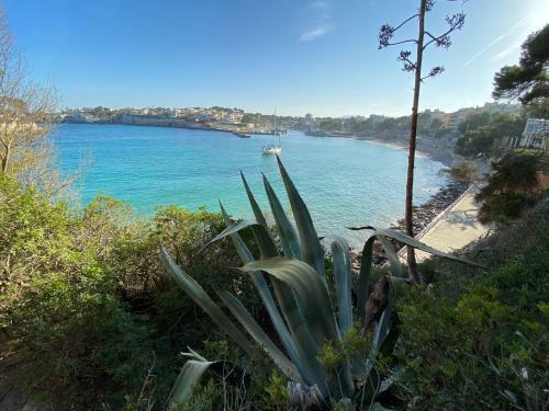 Apartamento Appartement De Majorque Portocristo