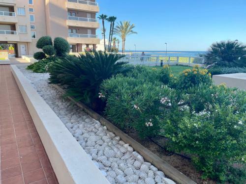 Apartamento Punta Cormoran La Manga