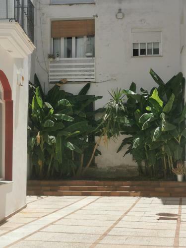 Apartamento Buhardilla Centro Calle Ancha Con Garaje