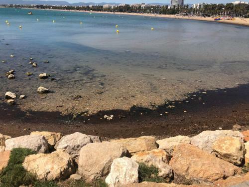 Apartamento Frente Al Mar