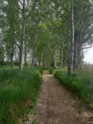 Apartamento Tordesillas, Miralduero