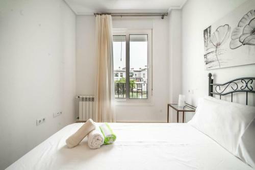 Comfortable 2 Bedroom Apartment - Ao2622lt