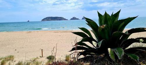 Apartamento Appartement Estartit Illa Mar D'or