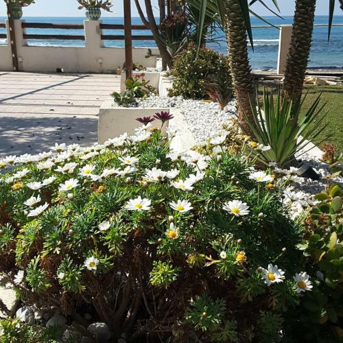 Hotel Il Faro