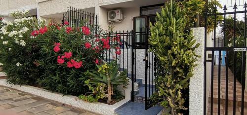 Apartamento Playa Las Americas Veracruz