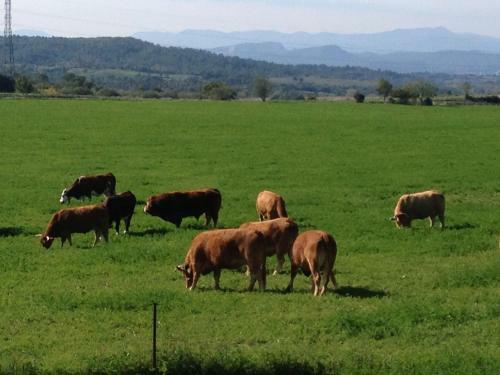 Hostal Une Roulotte � La Campagne
