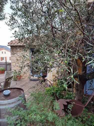 Bed & Breakfast Domaine Les Cascades