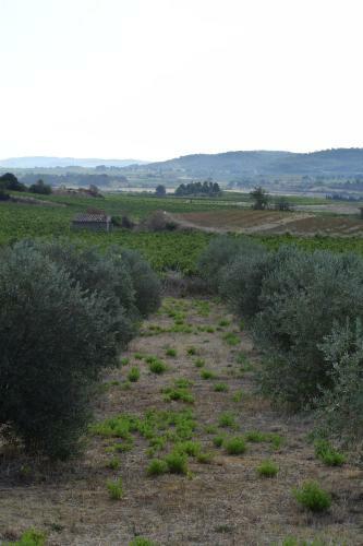 Bed & Breakfast Domaine Les Cascades