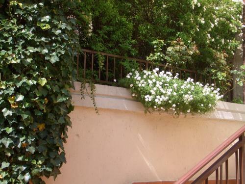 Hotel Ristorante Fiorelli
