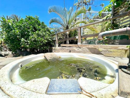 Apartment 5, Freewifi, Shared Pool Y Bbq, Terrace And Garden