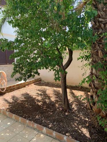 Appartamento Eurovillage Pt