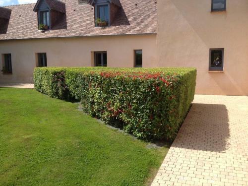 Hostal La Tour Des Plantes