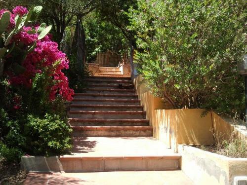 Sardinia Yellow House