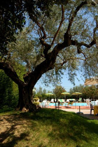 Hotel Parco Degli Ulivi