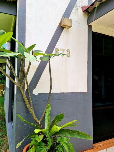 Villa 873 Villa In Afamosa Resort 4 Mslim Only