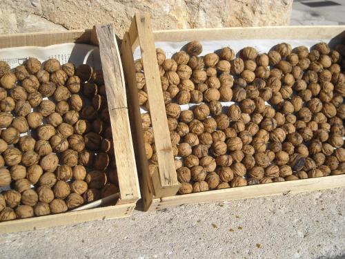 Bed & Breakfast Le Sareymond