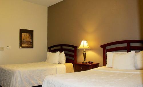 Hotel Crystal Springs Inn And Suites