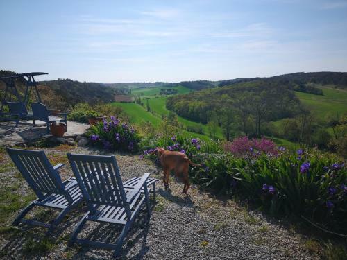 Bed & Breakfast Le Moulin Pastelier