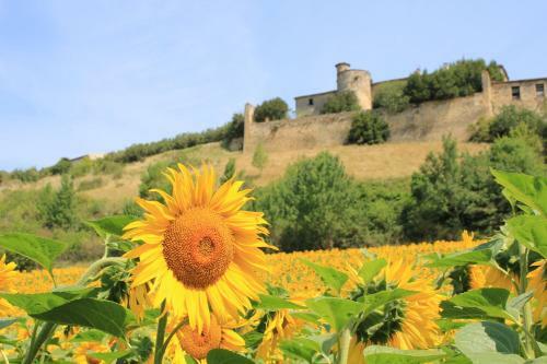 Bed & Breakfast Le Moulin Pastelier