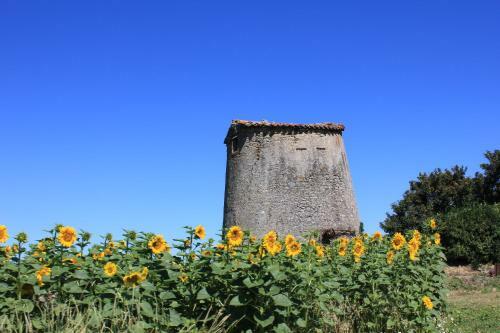 Bed & Breakfast Le Moulin Pastelier