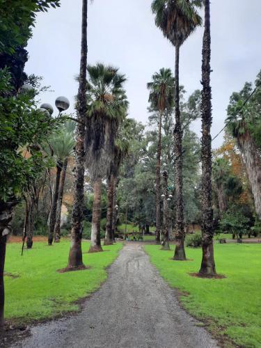 Bed & Breakfast ????? ???? ????? ????? - Ayelet Hotel