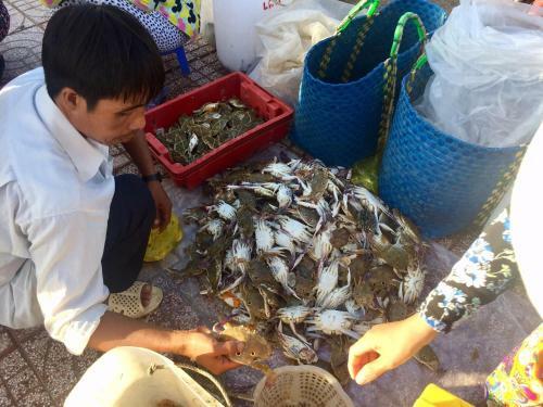 Homestay Song Ngoc 1