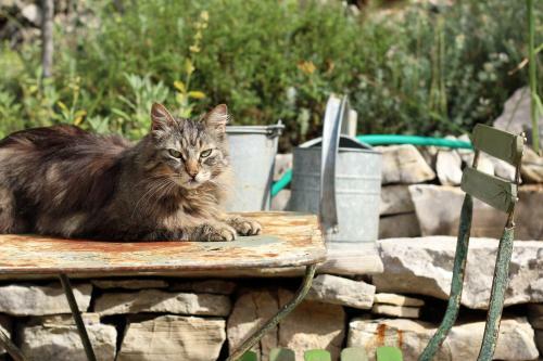 Bed & Breakfast Les Pierres Sauvages