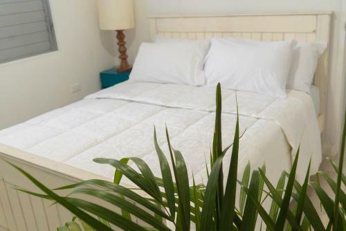 Apartamento Luxury 2 Bedroom 2 Bathroom City Oasis