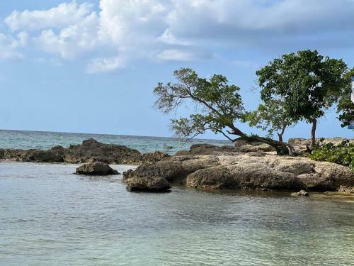 The Cozy Haven At Oceanpointe By The Beach