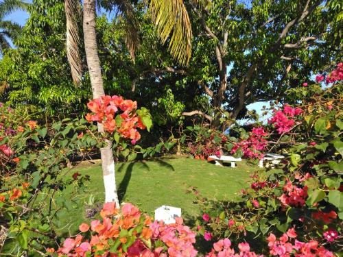 Apartamento Irresistible View-mobay Club