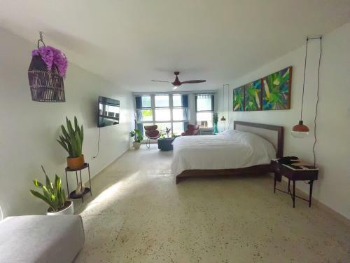 Villa Jungla Del Mar - Oceanfront City Apartment