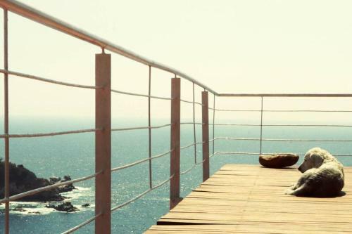 Apartamento Casa Del Mar En Acapulco
