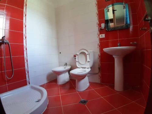 Cheerful 3-bedroom Private Villa In Borsh!