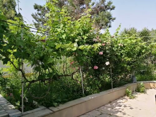 Apartamento Famile Relaxing Sweet Home