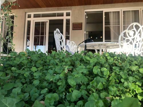 Hotel Aulona Fier