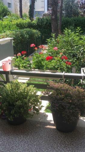 Garden Villa Lura