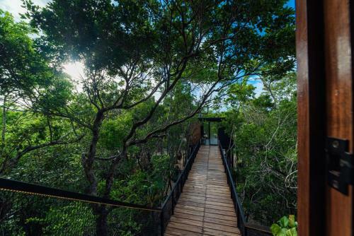 Villa Incre�ble Casa Elevada Con Cenote Privado En Tulum