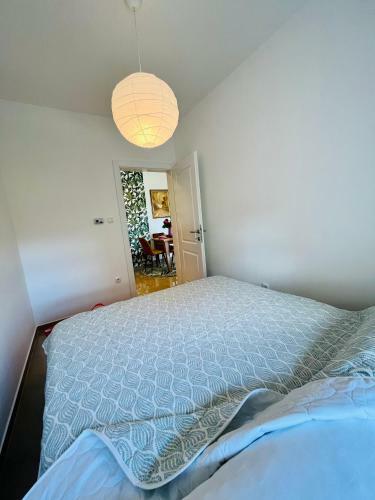 Oasis Apartments