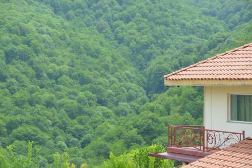 Villa Goshdream Guesthouse