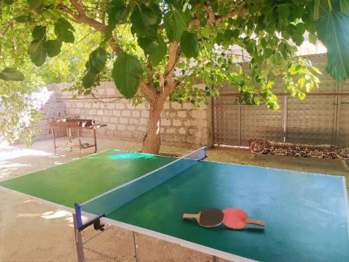 Hostal V$h Guesthouse